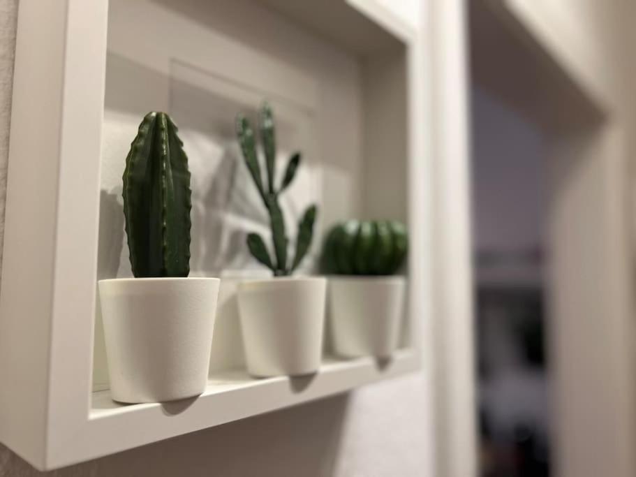 Stadtoase Design Wohnung In Der Altstadt Von Koblenz Koblenz  Exteriör bild