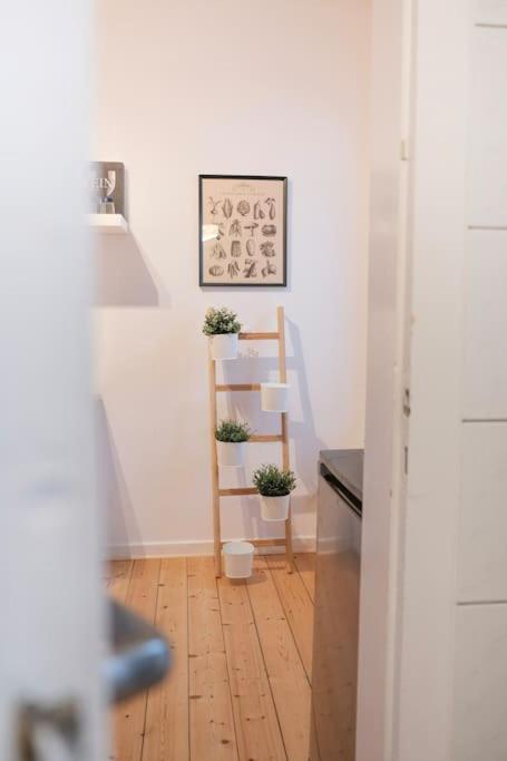 Stadtoase Design Wohnung In Der Altstadt Von Koblenz Koblenz  Exteriör bild